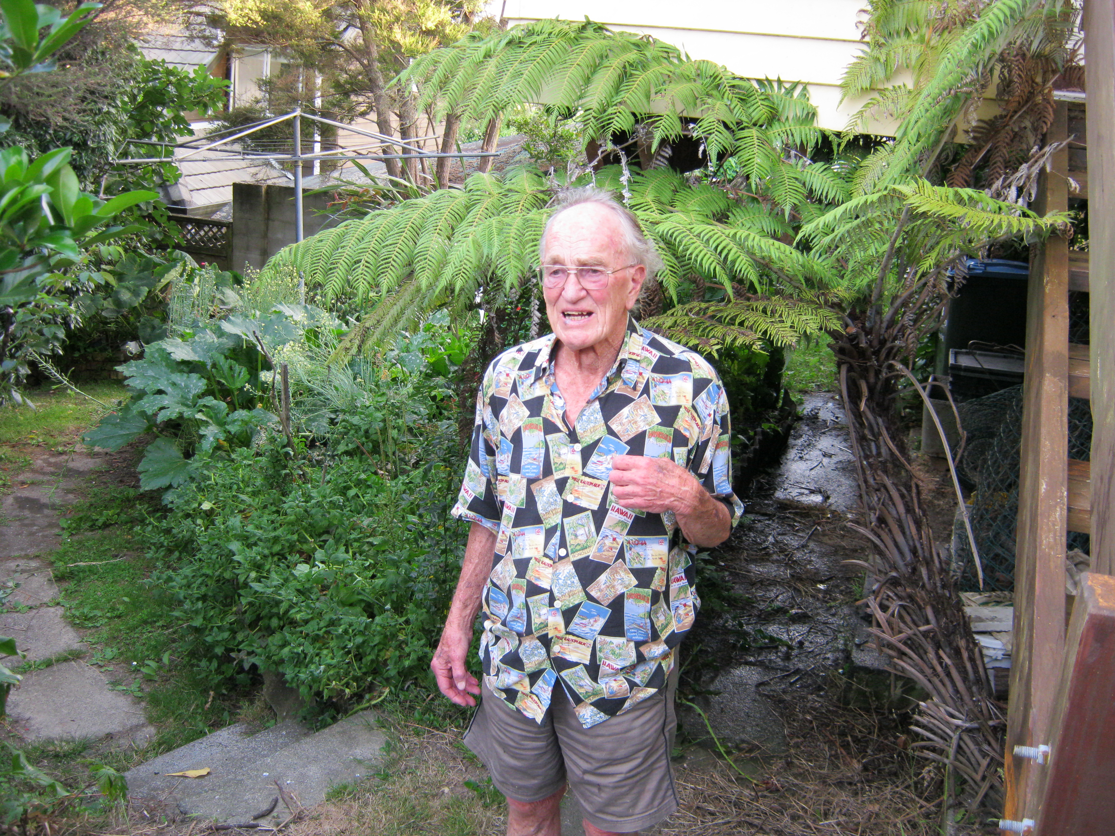 David Simmons standing beside a tree fern in his Auckland garden